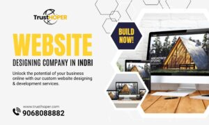 Website designing company in Indri